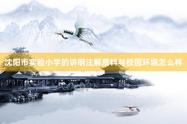 沈阳市实验小学的讲明注解质料与校园环境怎么样