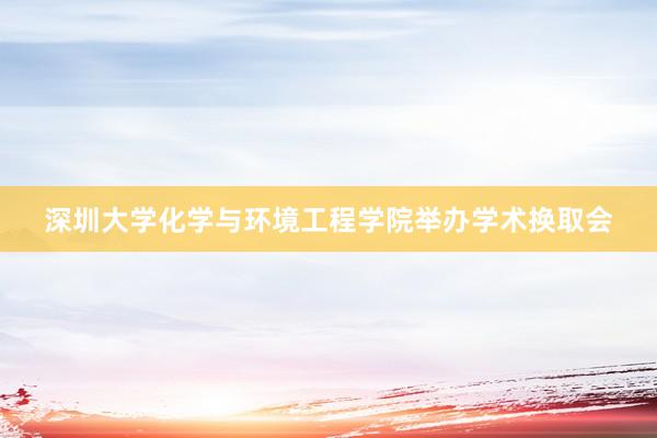 深圳大学化学与环境工程学院举办学术换取会